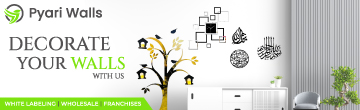 Pyari walls banner