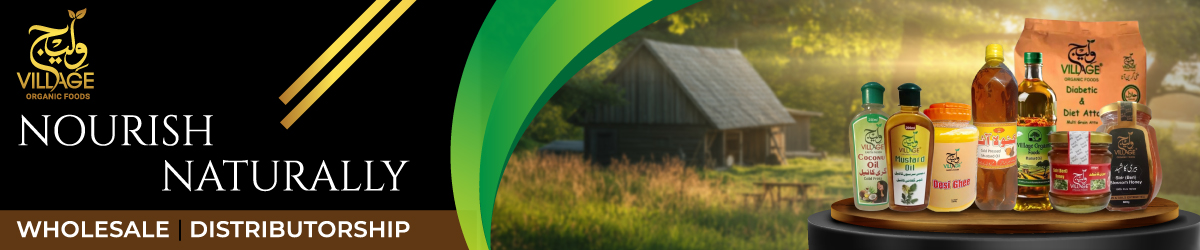 Village organic foods  banner